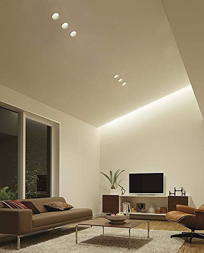 Amazon.co.jp: 大光電機（DAIKO） ダウンライト(軒下兼用) LED